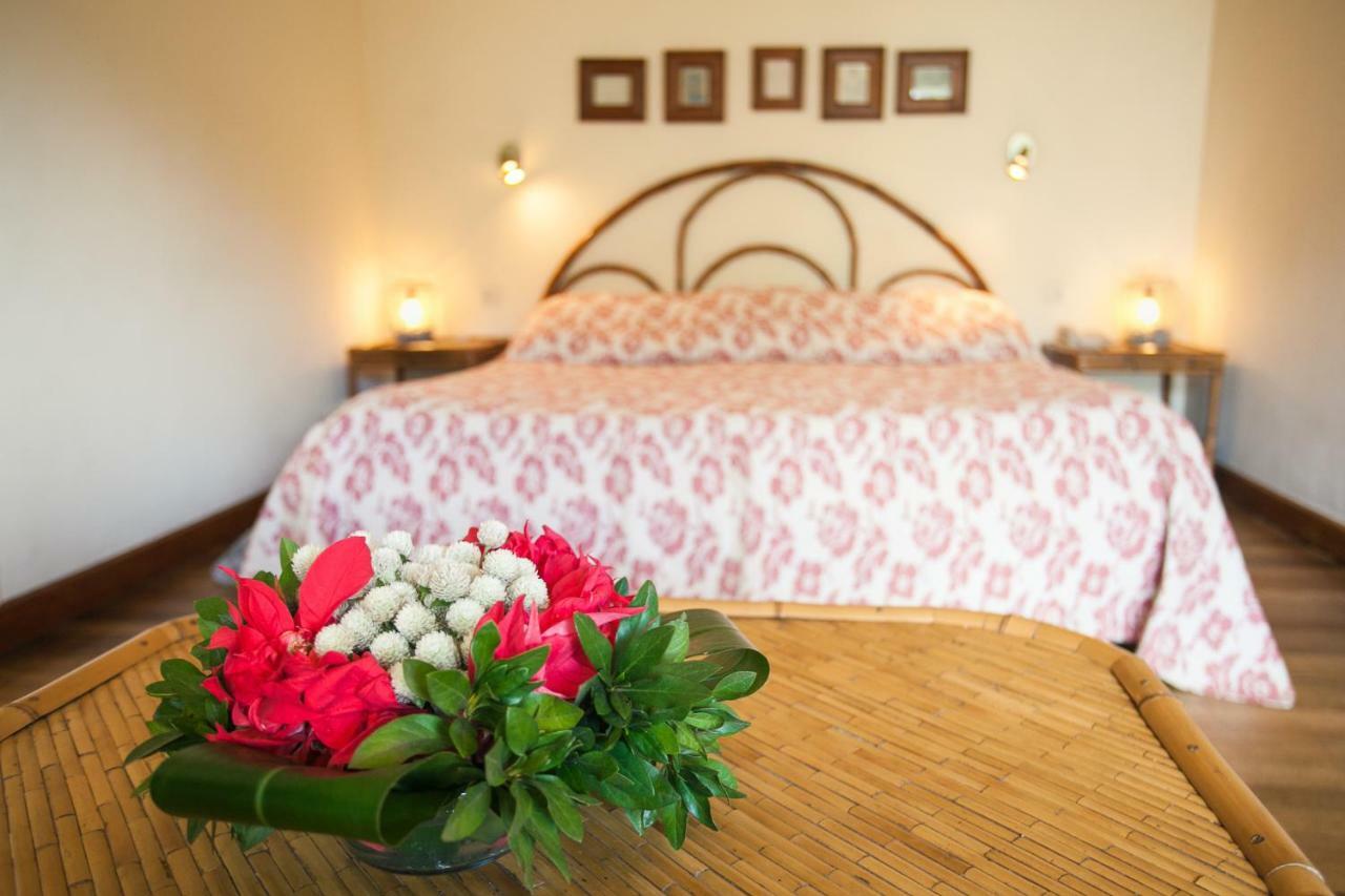 Tsara Guest House เฟียนารันท์โซ ภายนอก รูปภาพ